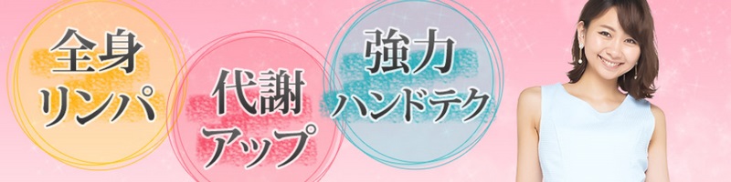 �G���Z�[�k  �ő�T�̃_�C�G�b�g���T�C�g